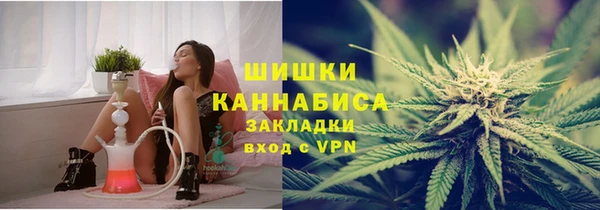 молекула духа Елабуга