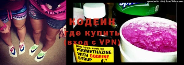 молекула духа Елабуга