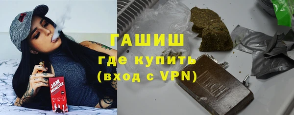 спиды Ельня