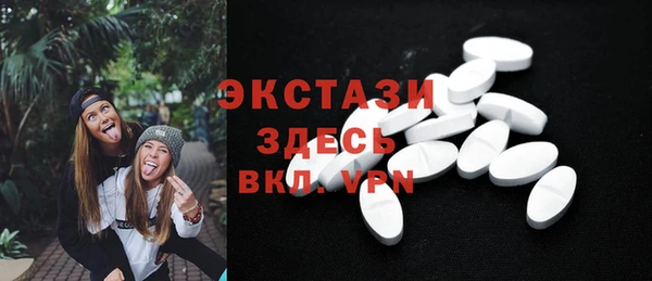 спиды Ельня