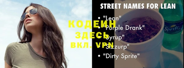 молекула духа Елабуга