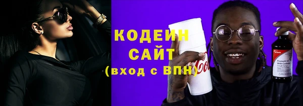 спиды Ельня