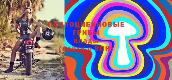спиды Ельня