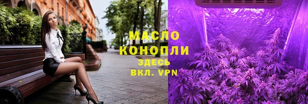 спиды Ельня