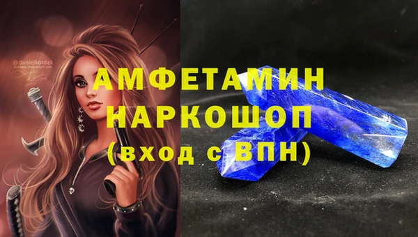 молекула духа Елабуга