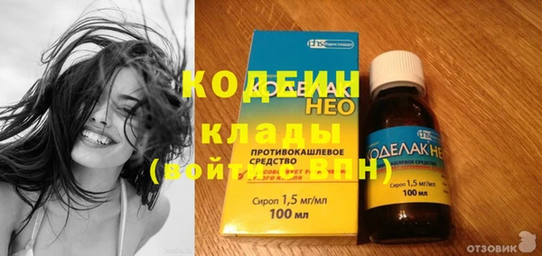 молекула духа Елабуга