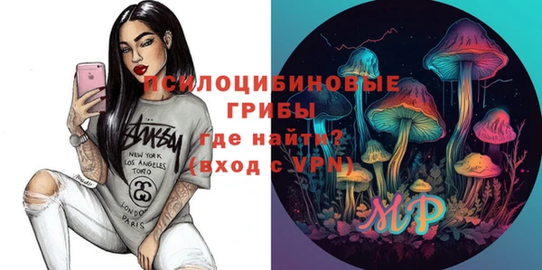 молекула духа Елабуга