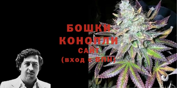 спиды Ельня