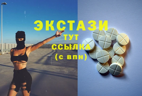 спиды Ельня