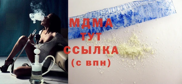 спиды Ельня
