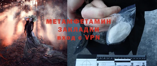 спиды Ельня