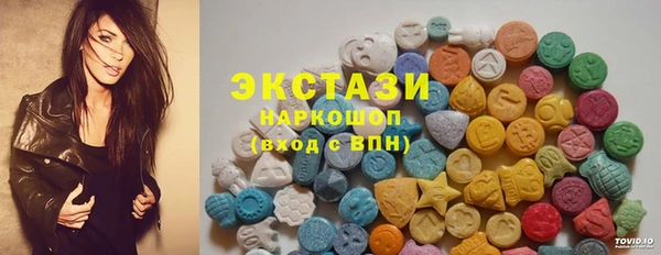 спиды Ельня